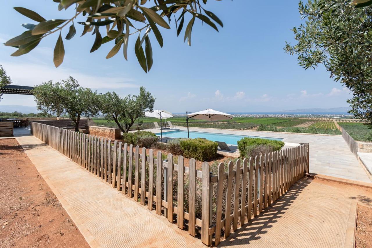 The Olive Hill Vila Assos  Exterior foto