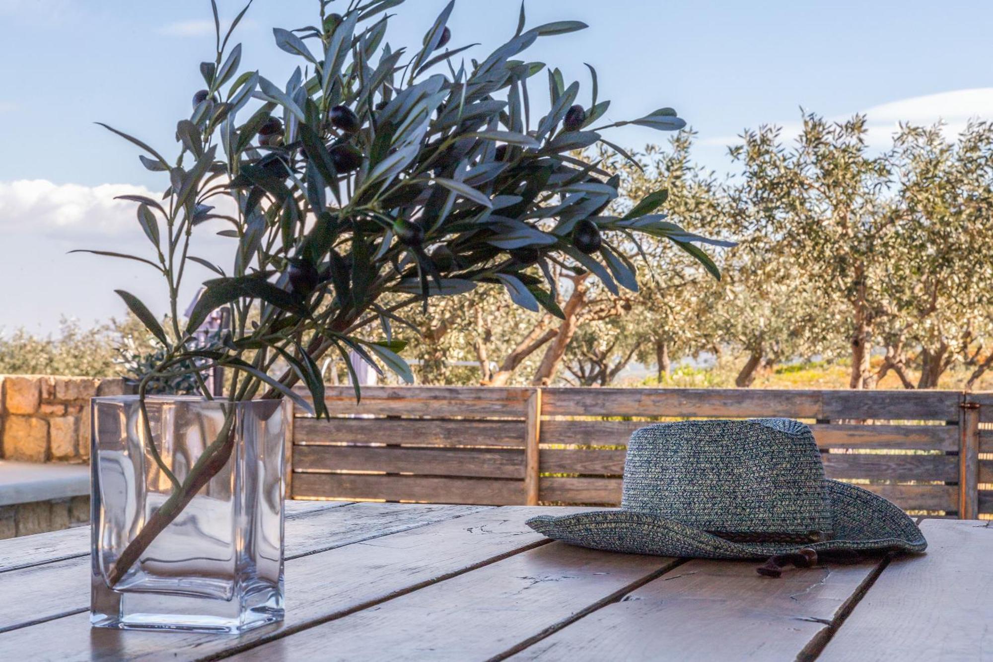 The Olive Hill Vila Assos  Exterior foto